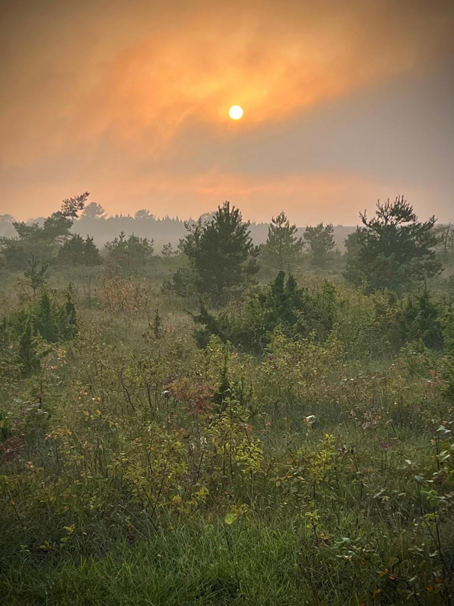 Lahe Kivikaヴィラ エクステリア 写真